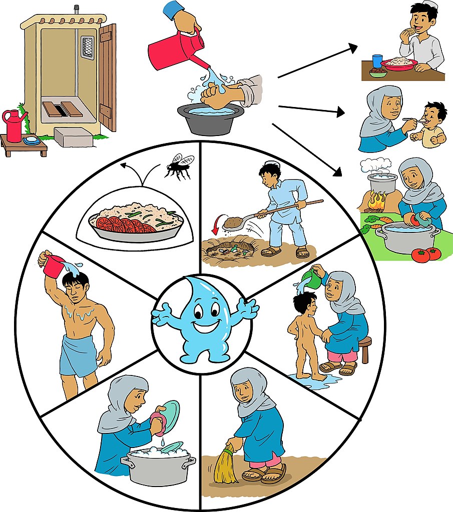 L'image regroupe les gestes essentiels d'hygiène